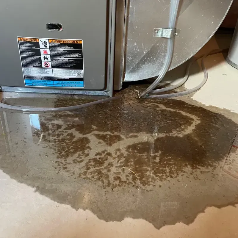 Appliance Leak Cleanup in Lake Park, NC